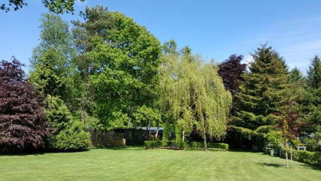 Natuurschoon Chaletpark