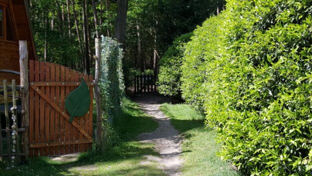 chalet achtertuin bospad