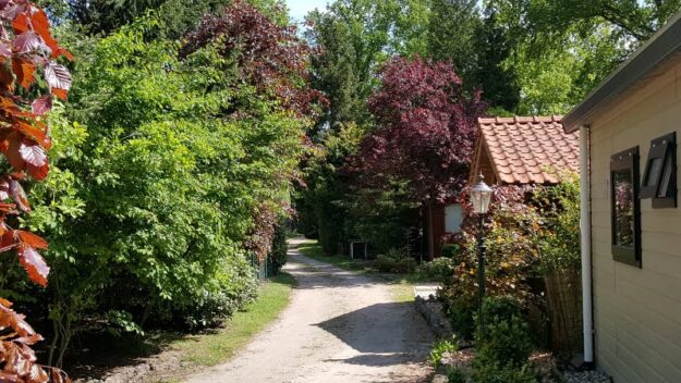 chalet chalets koopchalet