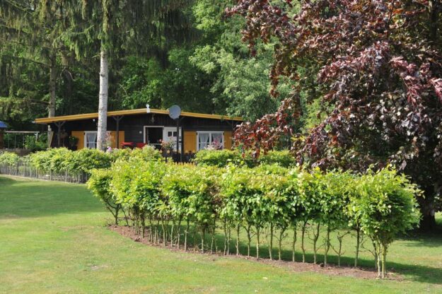 natuur bos gras chalets park