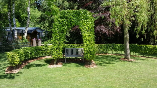 oase rust rustgevend tuin bankje