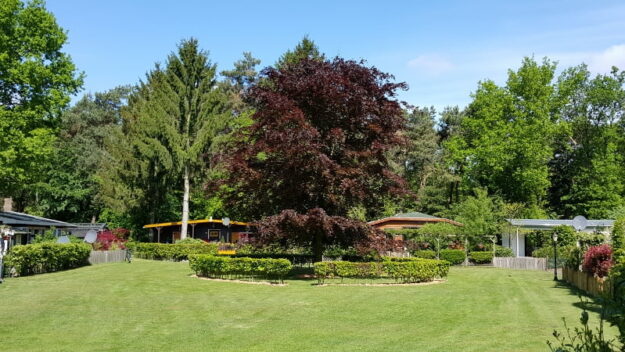 ChaletVessenEerselNoord Brabant