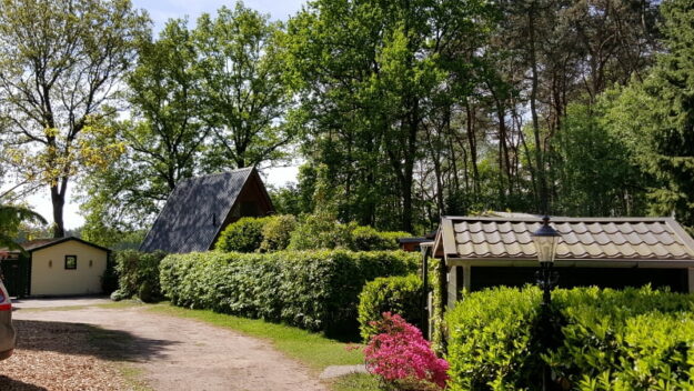 Bosrijke Omgeving Chaletpark